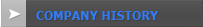 Company History